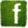 APK Hijau Baru FB