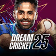 Dream Cricket 25 APK Dream Cricket 25 APK