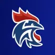 FFHandball APK FFHandball APK