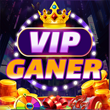 Vipganer Casino APK